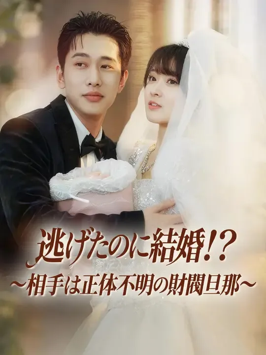 逃げたのに結婚!?~相手は正体不明の財閥旦那~