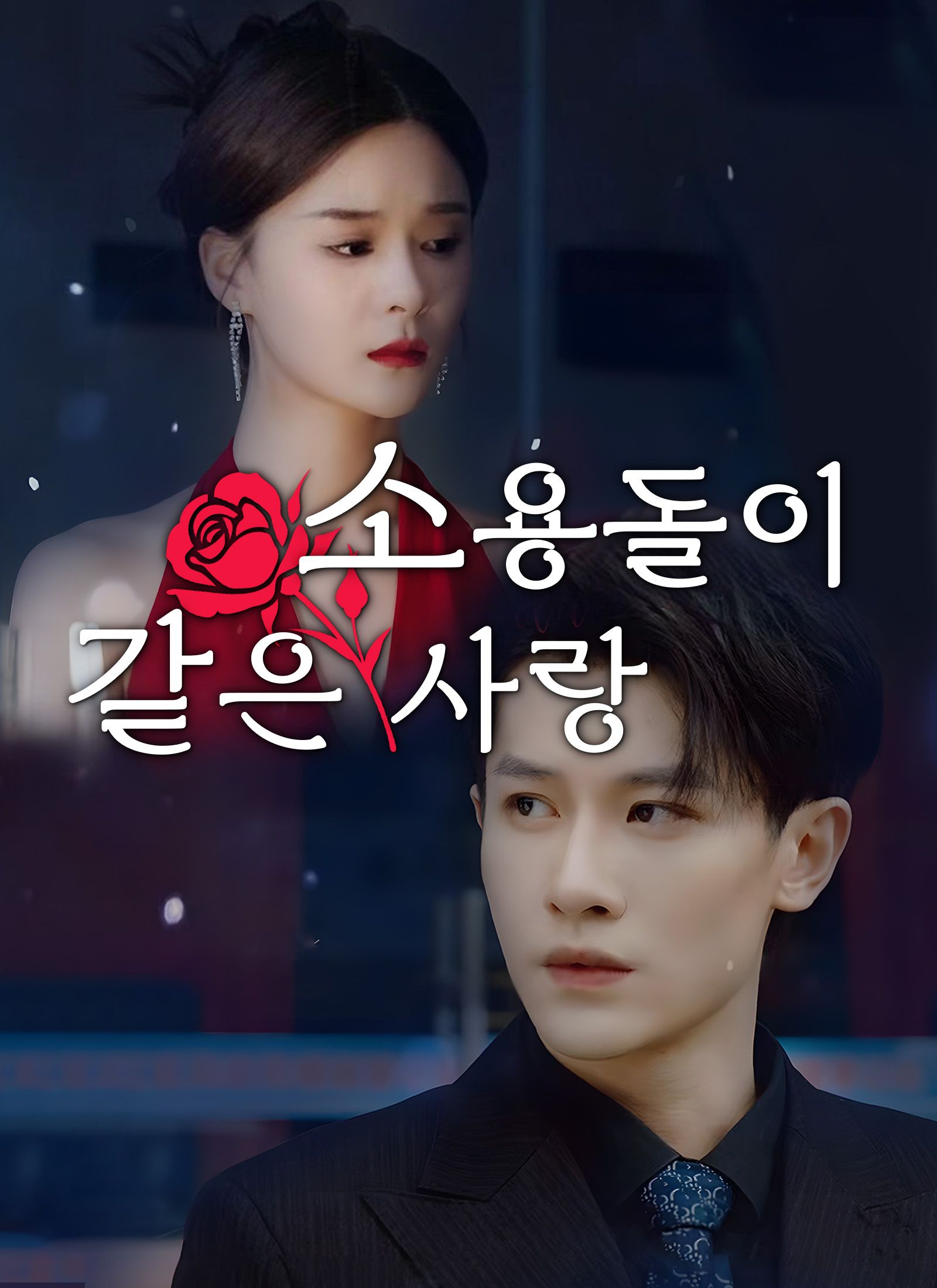 Poster 소용돌이 같은 사랑