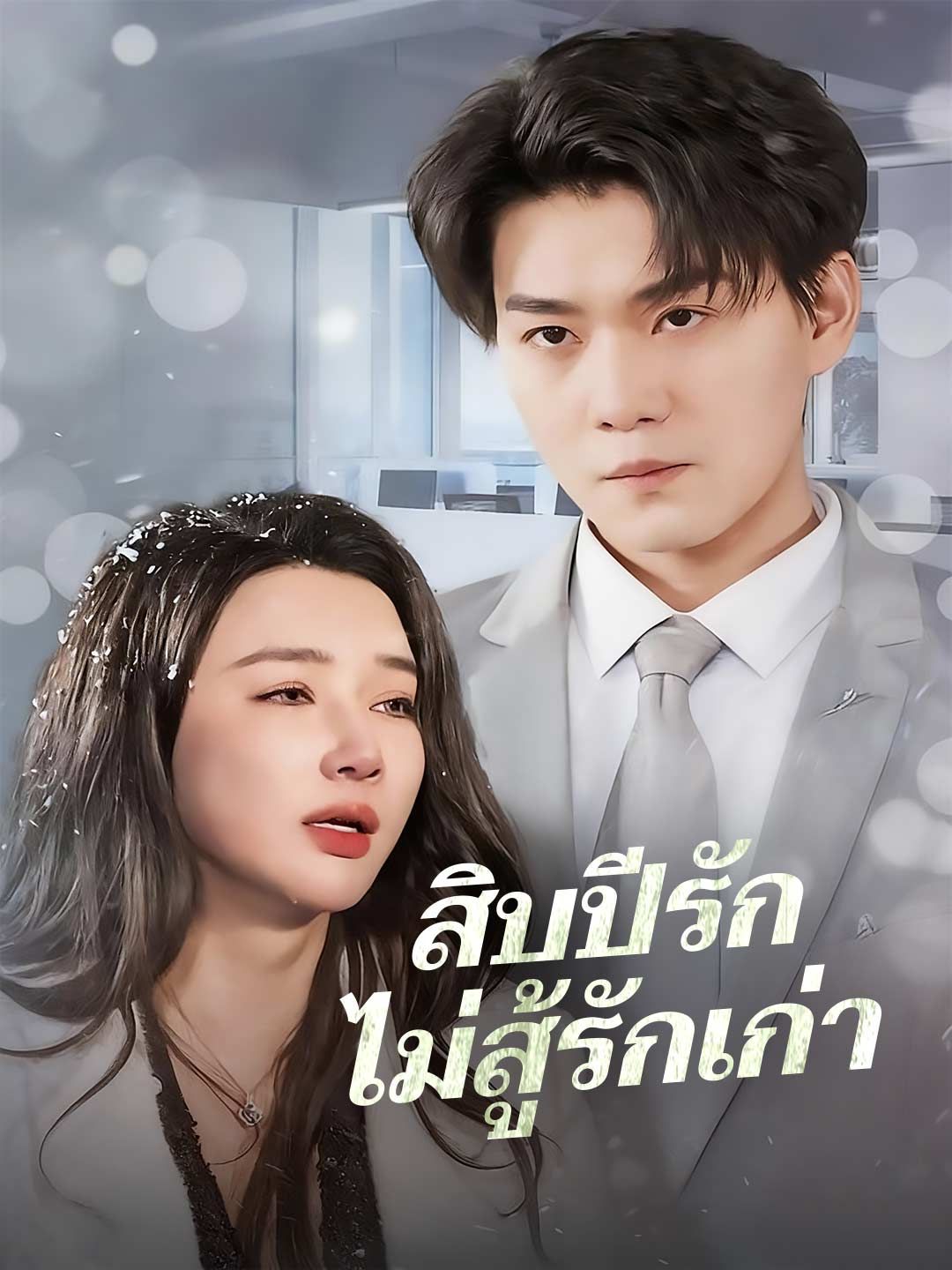 (พากย์) สิบปีรักไม่สู้รักเก่า
