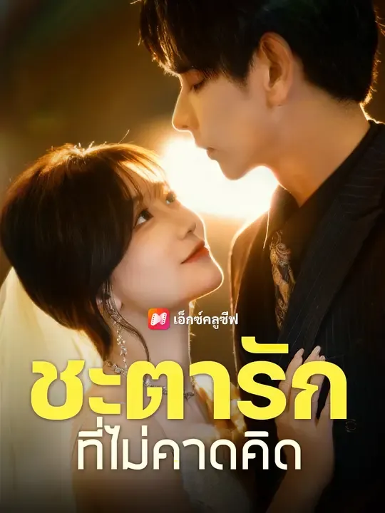ชะตารักที่ไม่คาดคิด