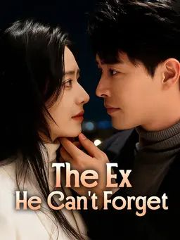 Poster The Ex He Can’t Forget