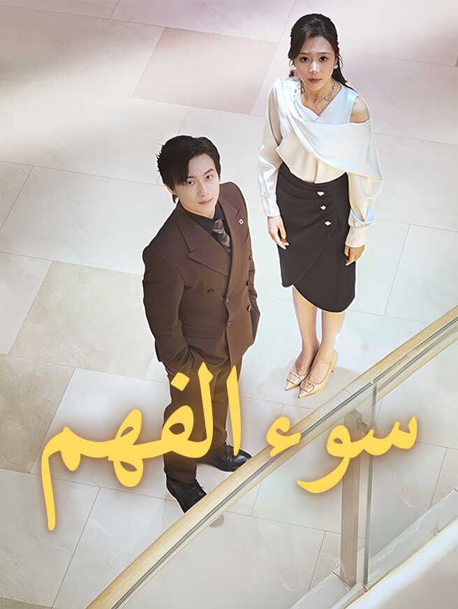 Poster سوء الفهم