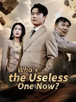 Poster Who's the Useless One Now?