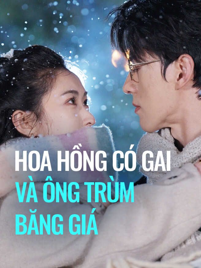 Hoa Hồng Có Gai Và Ông Trùm Băng Giá