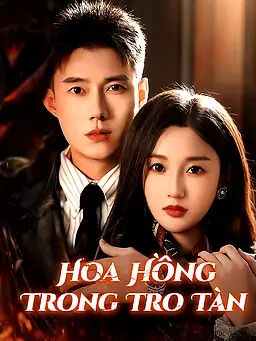 Hoa Hồng Trong Tro Tàn