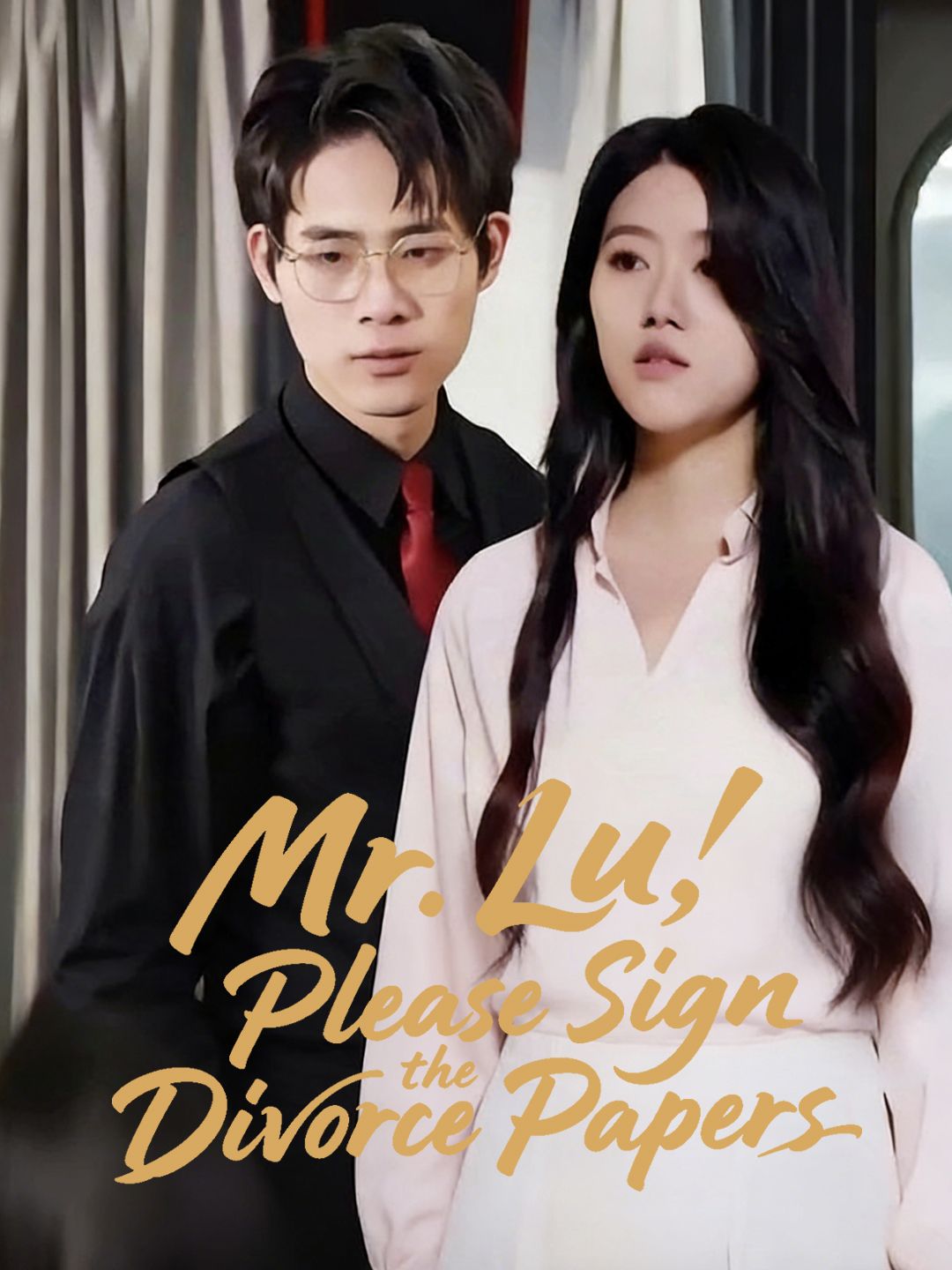 Mr. Lu, Please Sign the Divorce Papers