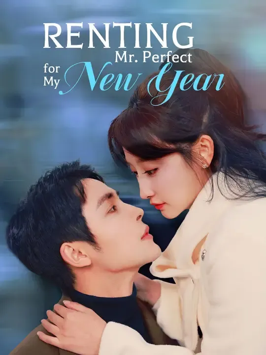 Renting Mr. Perfect for My New Year