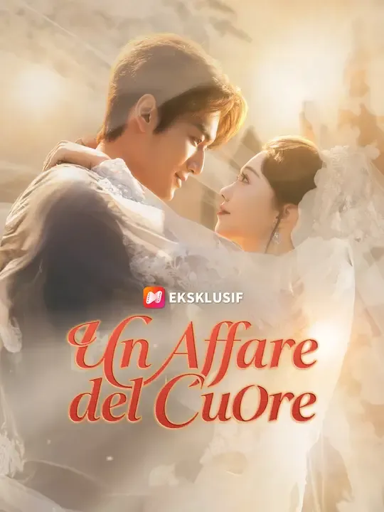 Un Affare del Cuore